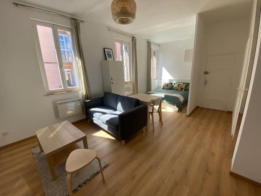Le Petit Minimes Au Bord Du Canal Du Midi Apartment Toulouse Ngoại thất bức ảnh